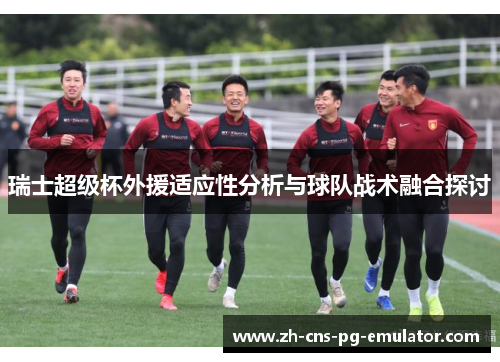 瑞士超级杯外援适应性分析与球队战术融合探讨
