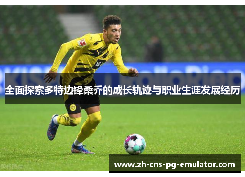 全面探索多特边锋桑乔的成长轨迹与职业生涯发展经历