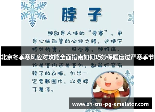 北京冬季寒风应对攻略全面指南如何巧妙保暖度过严寒季节